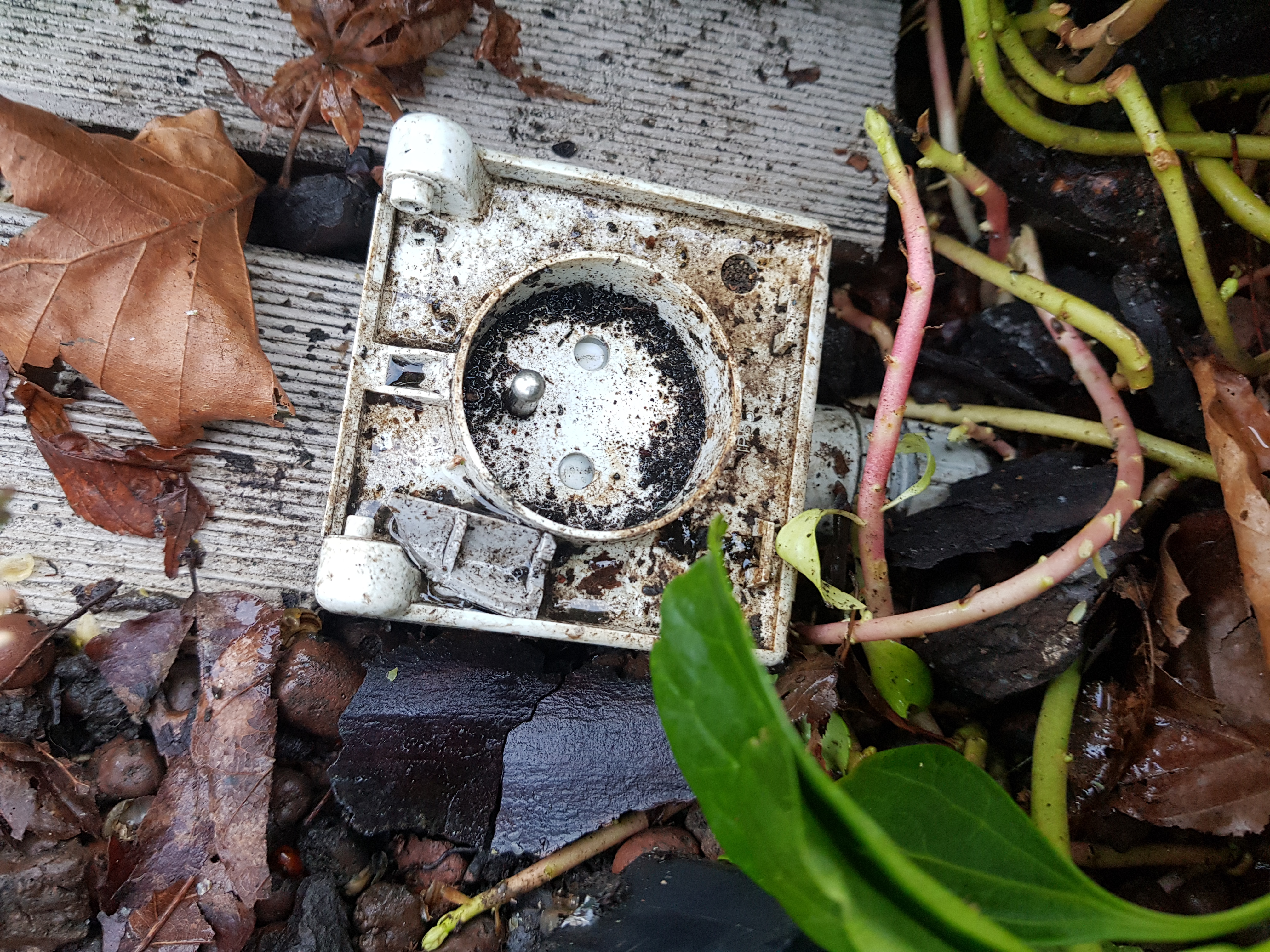 Prise extérieure corrodée sans capot trouvée dans jardin — diagnostic ELECOMM